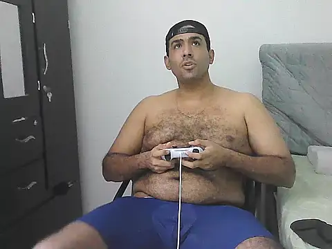 IronSideBear webcam