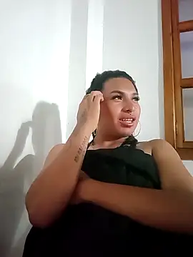 MeelFox webcam