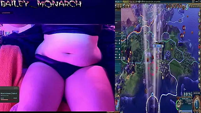 baileymonarch webcam
