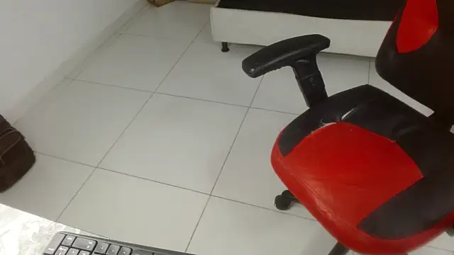 Axel_fox77 webcam