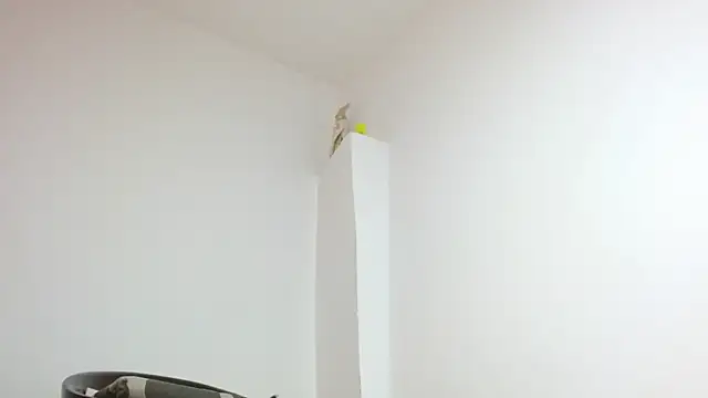 Twinkcock22 webcam
