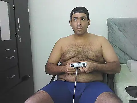 IronSideBear webcam