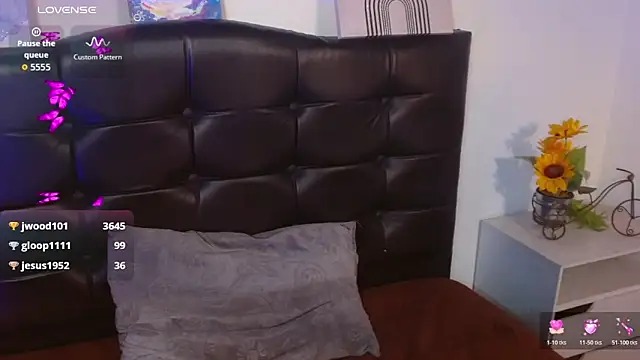 camigp webcam