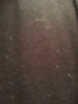 AlevNaz webcam
