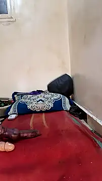 tslovetoys5 webcam