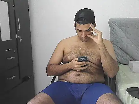 IronSideBear webcam