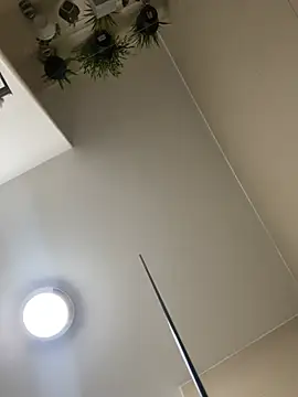Michel_huge webcam
