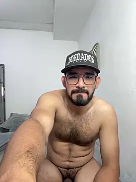 big_bearman webcam