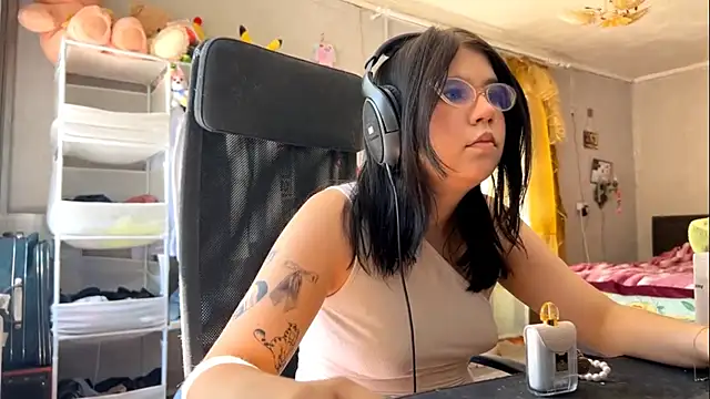CaniLern webcam