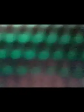 twistafatpipe webcam