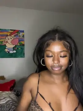 TinyBlazian901 webcam