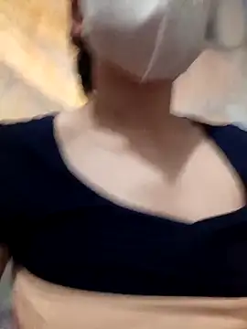 Phinminlisa webcam