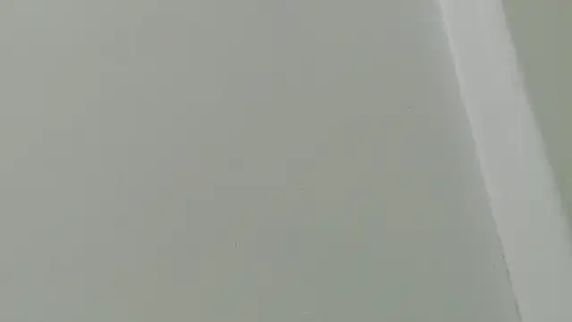 juliette18rose webcam