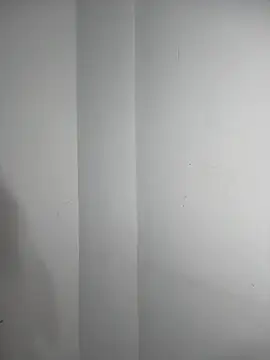 Valen-Foxx1 webcam
