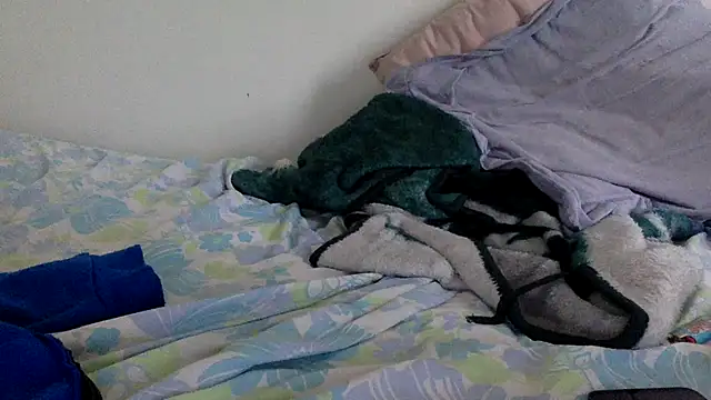 molozeb webcam