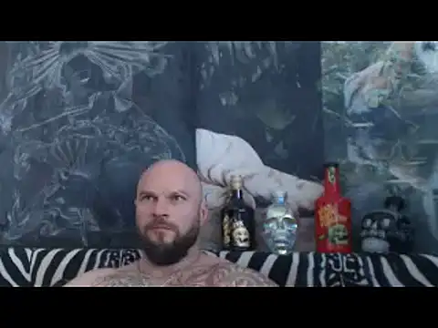 viking_30 webcam
