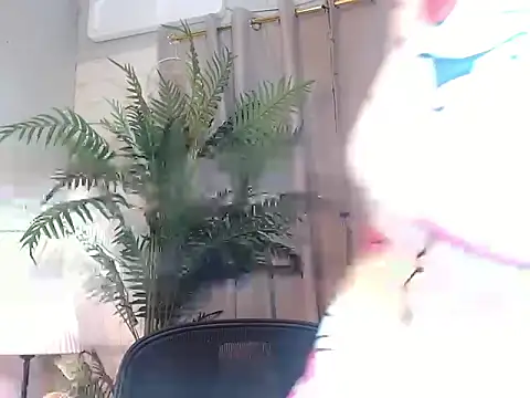 AsianTrixxx webcam