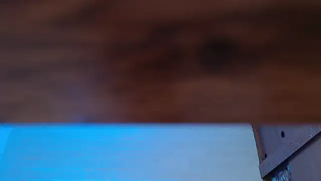 Amy66 webcam