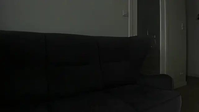 Dorimena webcam