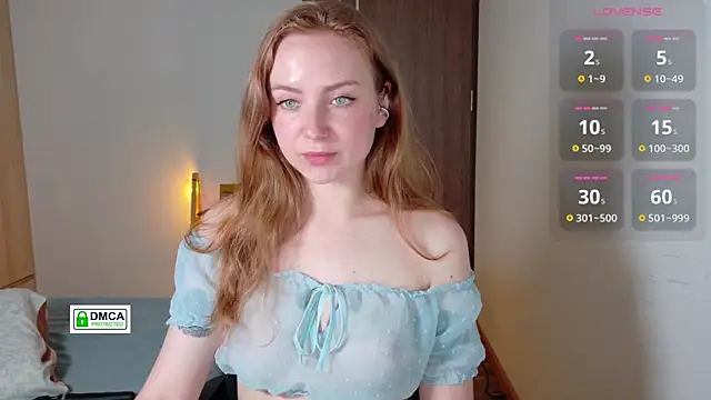 RedFires webcam
