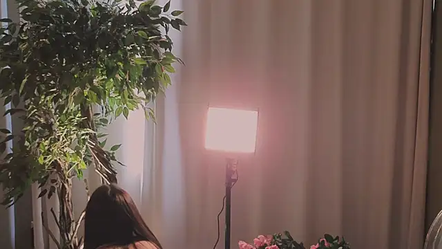 Alice-Lidel webcam