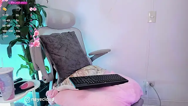 NayeCloud webcam