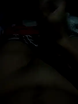 _NAUJ webcam