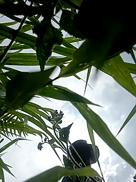 cutebobi webcam