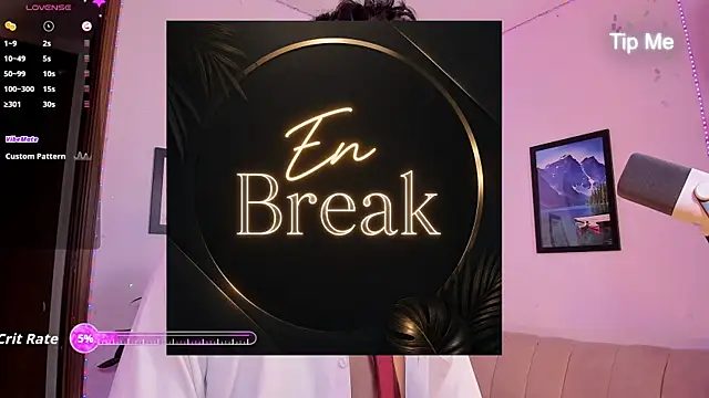EthanRoss1 webcam