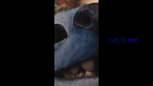 vinkitinkii webcam