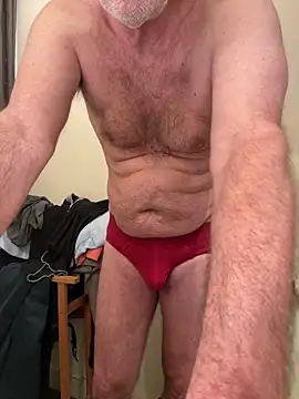 vincent1522 webcam