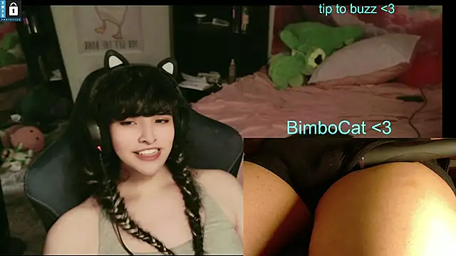BimboCat webcam