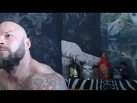 viking_30 webcam