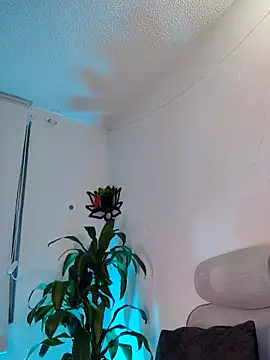 NayeCloud webcam