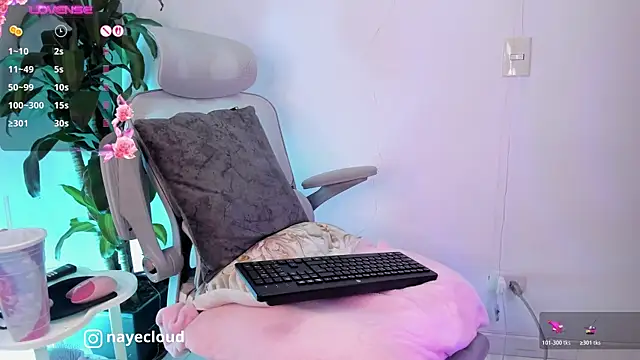 NayeCloud webcam