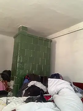 Frosl webcam