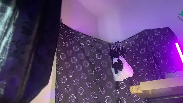 Guyst049 webcam
