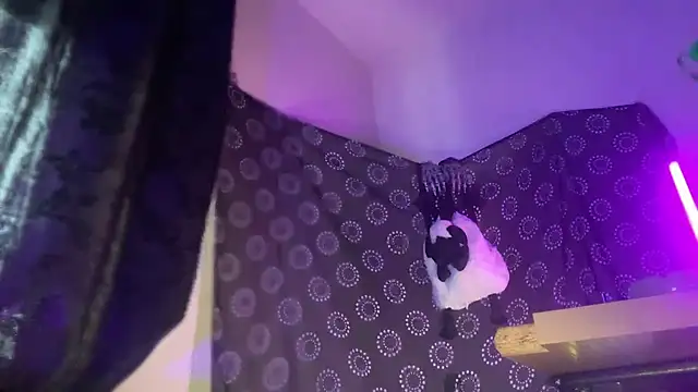 Guyst049 webcam