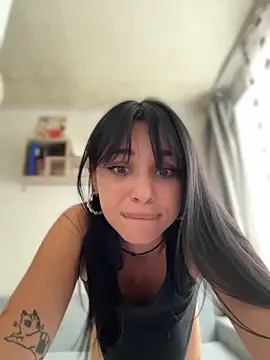 VendiMur