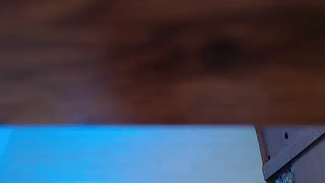 Amy66 webcam