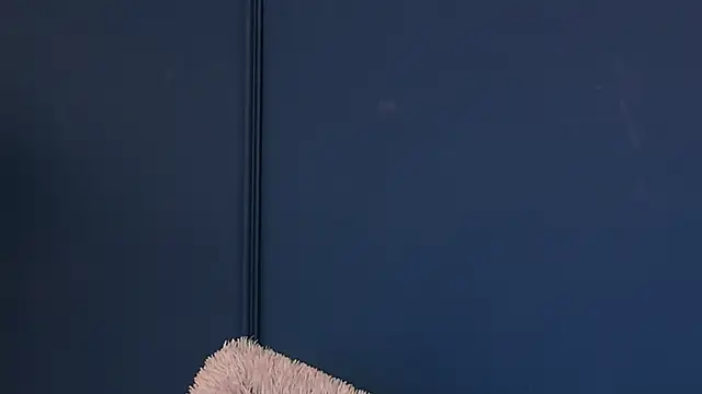 DeeaVIP webcam