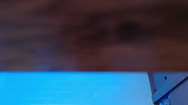 Amy66 webcam