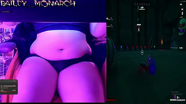 baileymonarch webcam