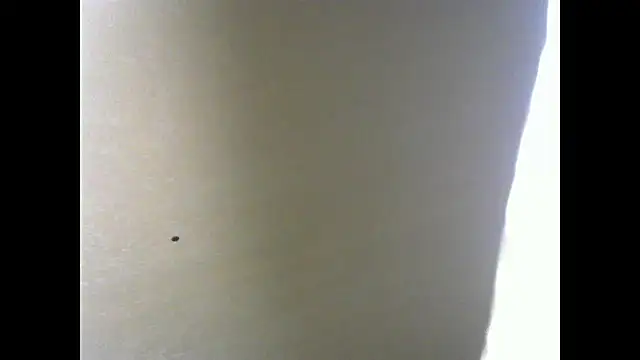 BabyCam23 webcam