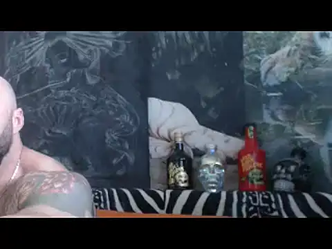viking_30 webcam