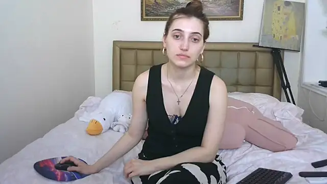 Iren webcam