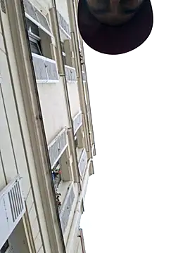 molozeb webcam