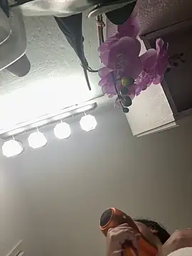 Lickplayofficial webcam