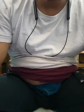 Srmotrs webcam