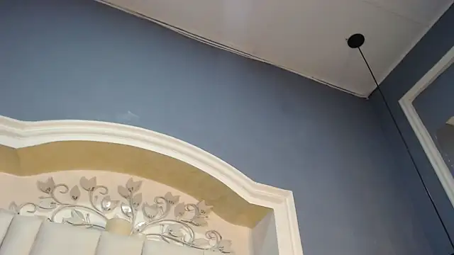 Chelseadow webcam